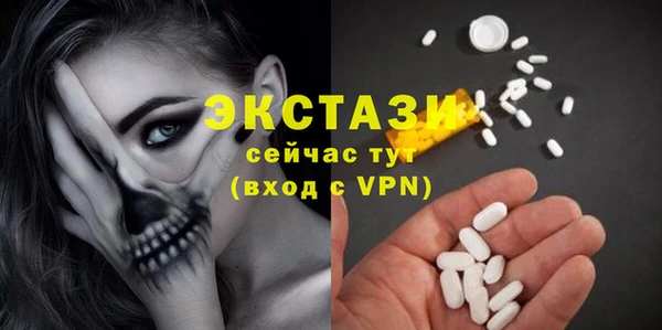 гидра Богородицк