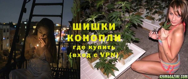 винт Арсеньев