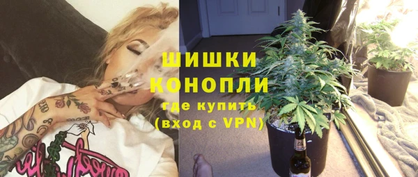 винт Арсеньев