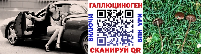 Псилоцибиновые грибы Psilocybe Ливны