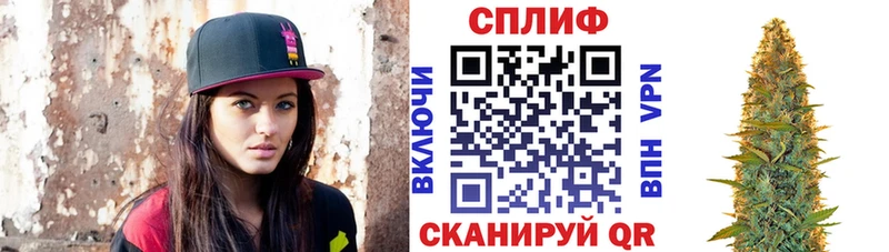 shop какой сайт  Ливны  МАРИХУАНА ГИДРОПОН 